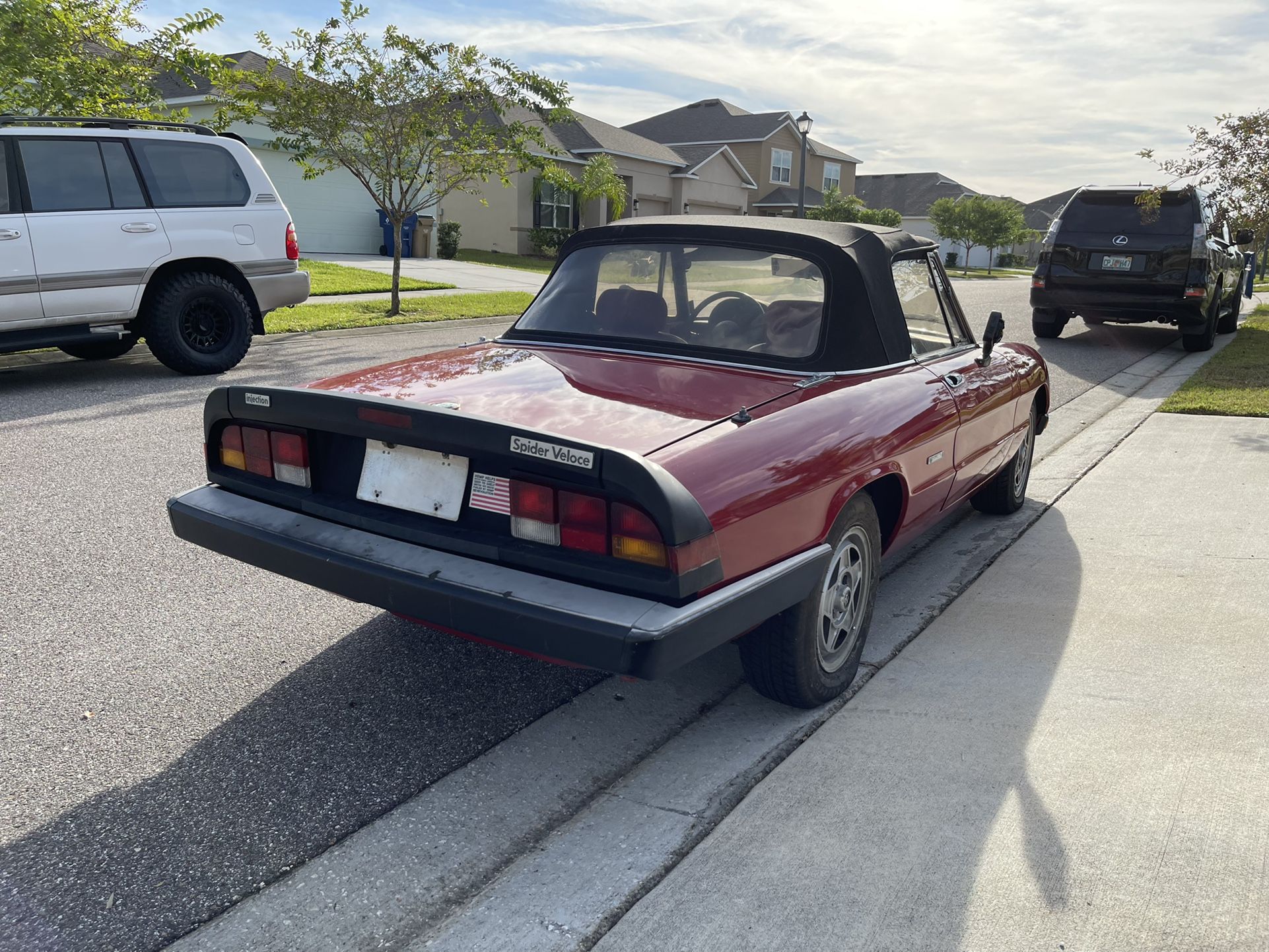 1987 Alfa Romeo Spider