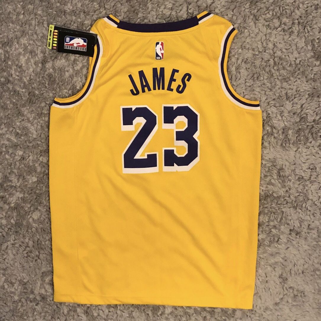 Nike LeBron James Los Angeles LA Lakers Icon Edition Swingman Jersey Size Small MSRP:$110