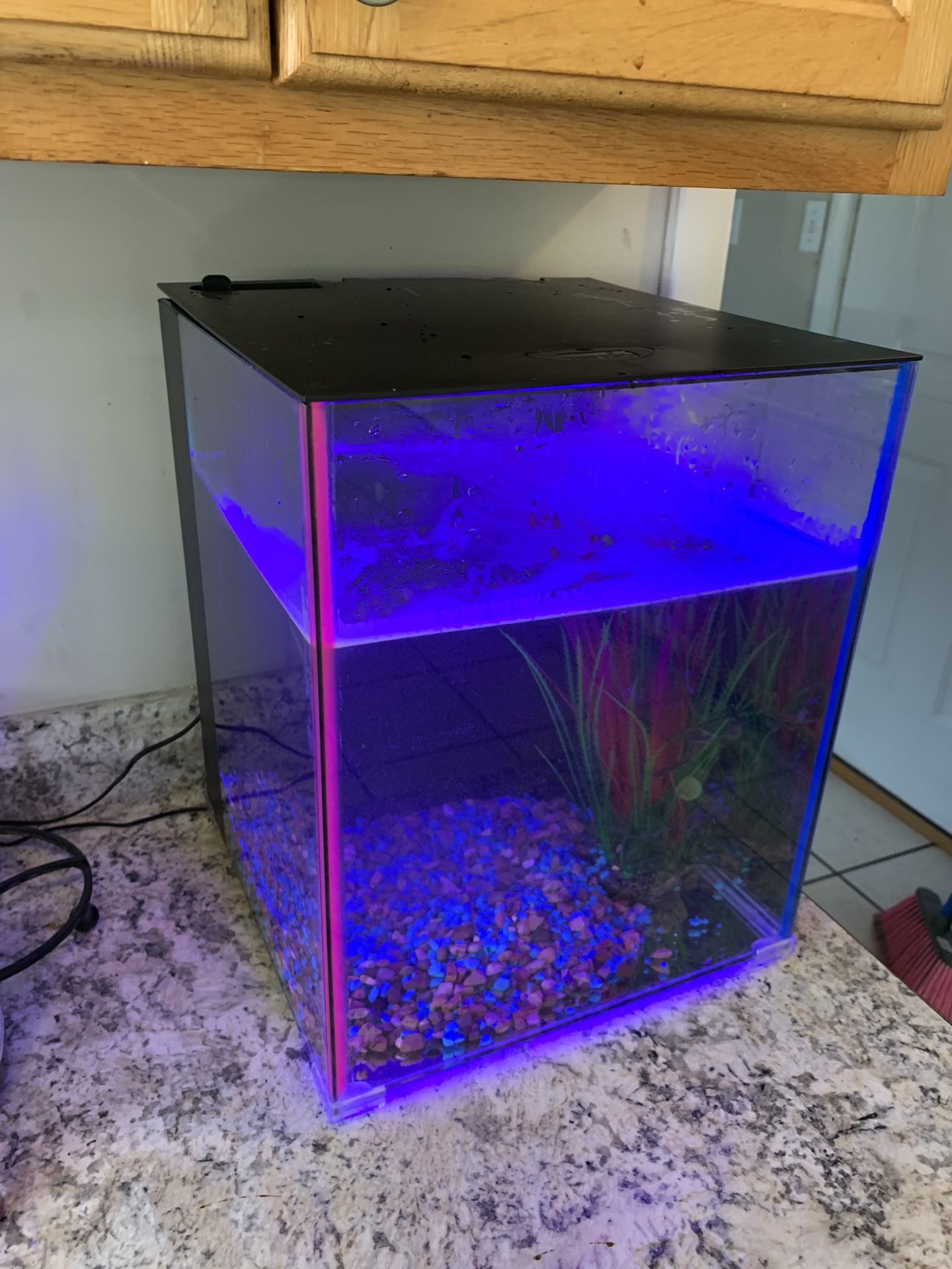 5gallon Fish Tank
