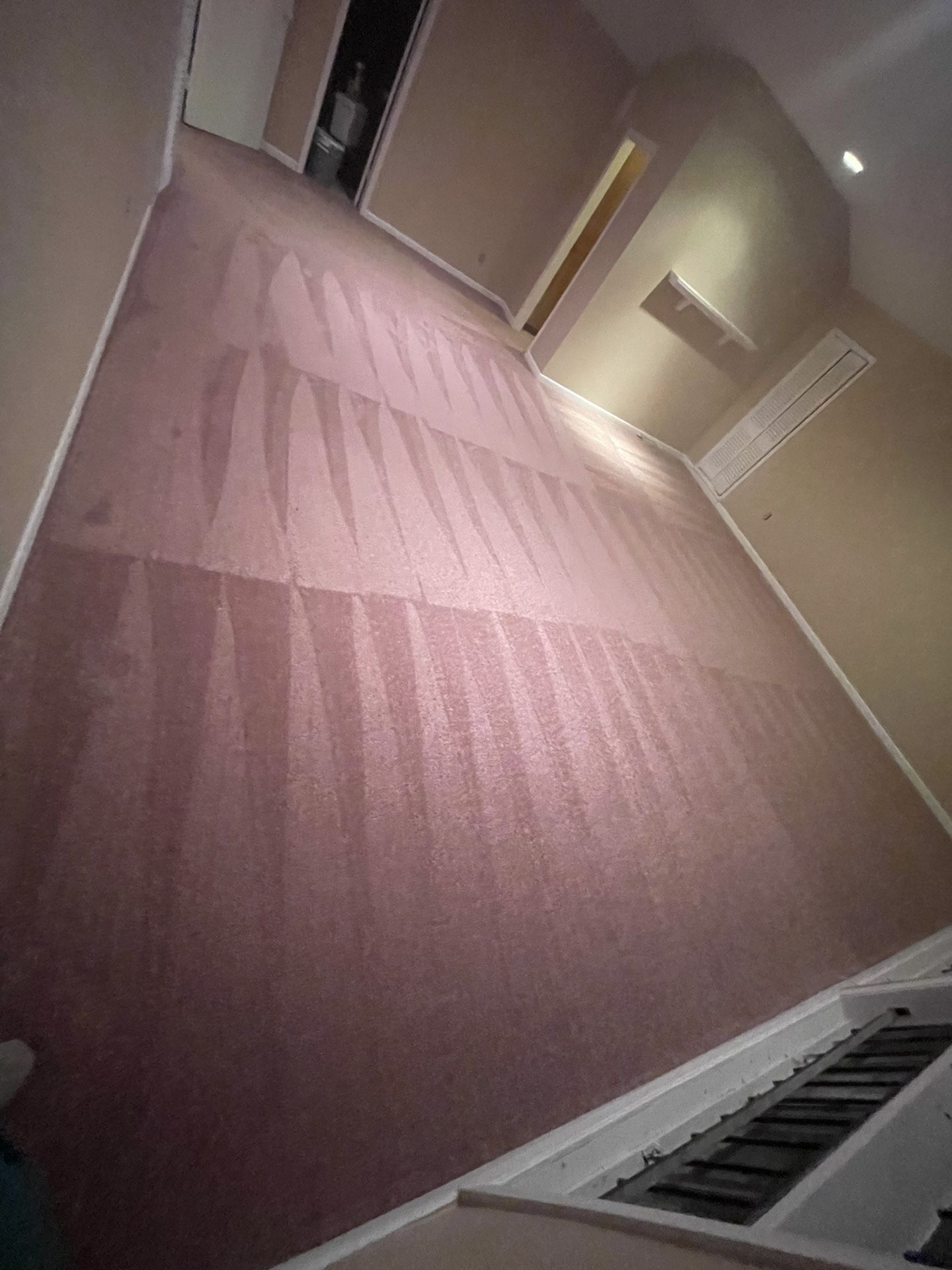 Carpet For Sale