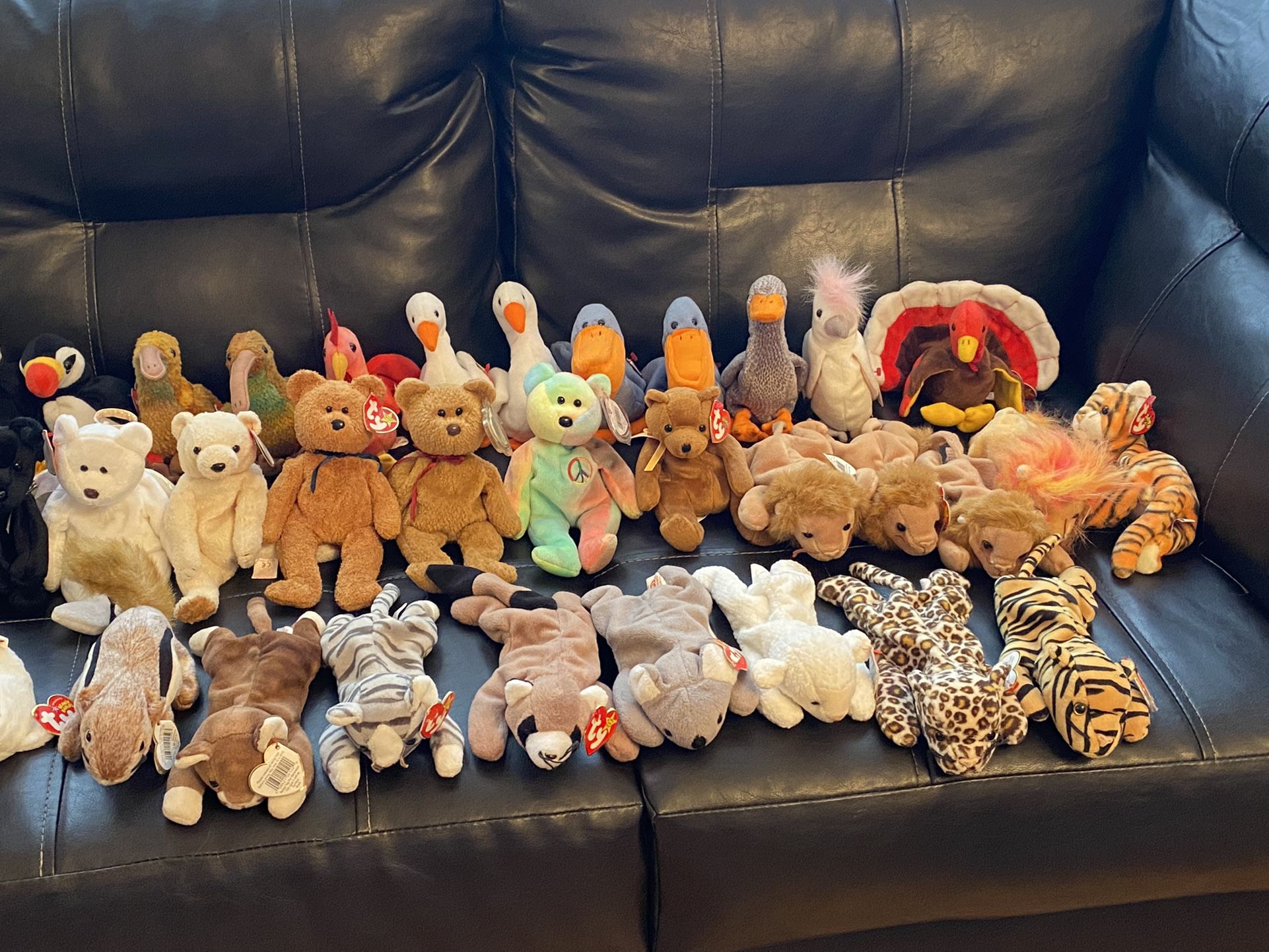 Beanie Baby collection