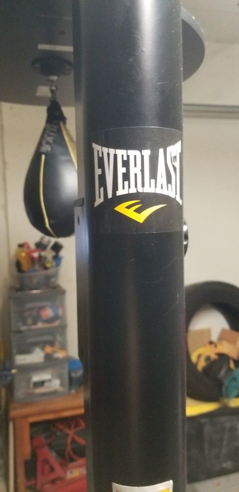 Punching Bag and speed Bag Combo