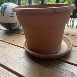 plant pot Thumbnail