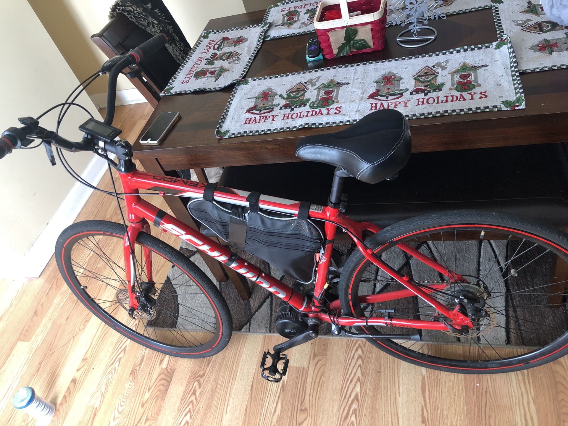 Electric bike