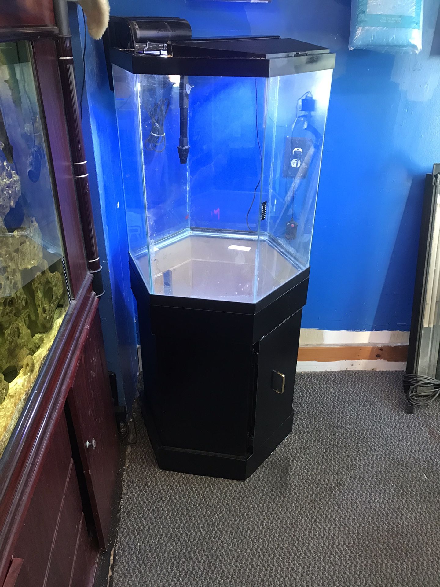 35 gallon Hexagon Aquarium Fish Tank Complete $300