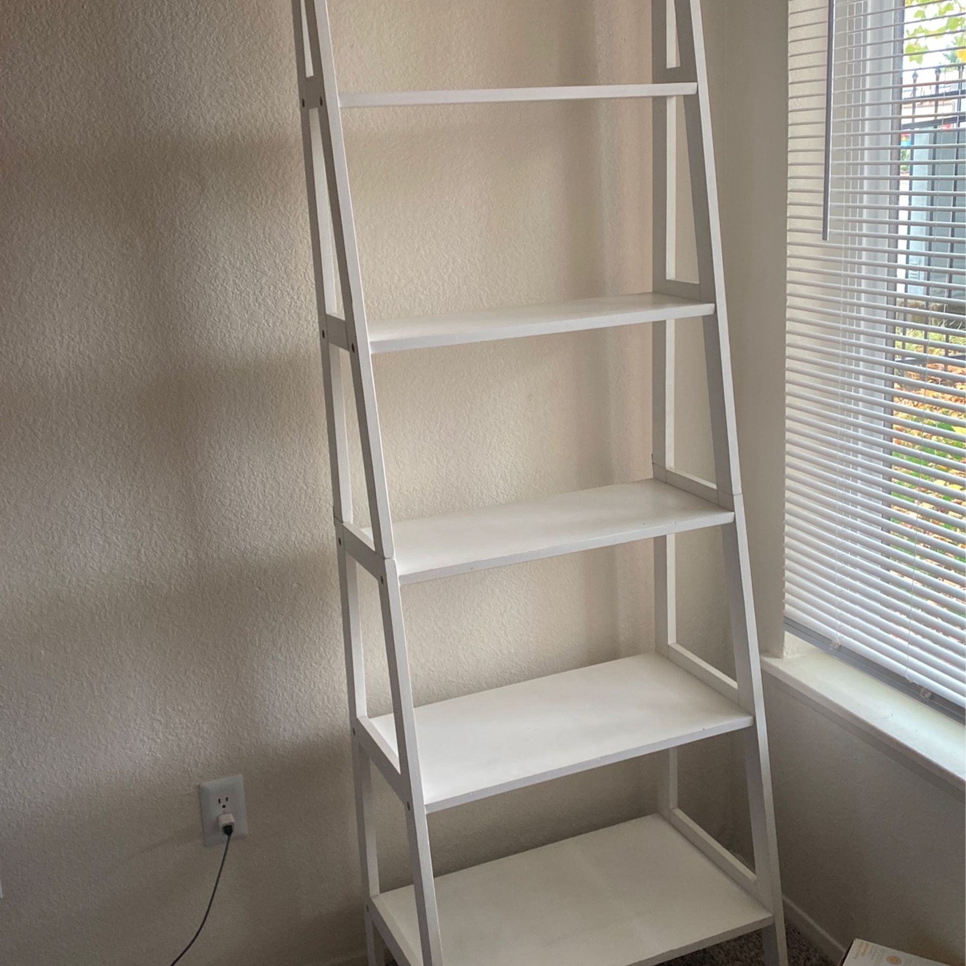 White Ladder Book Shelf