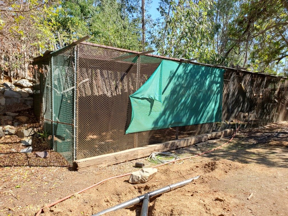 Free Cages