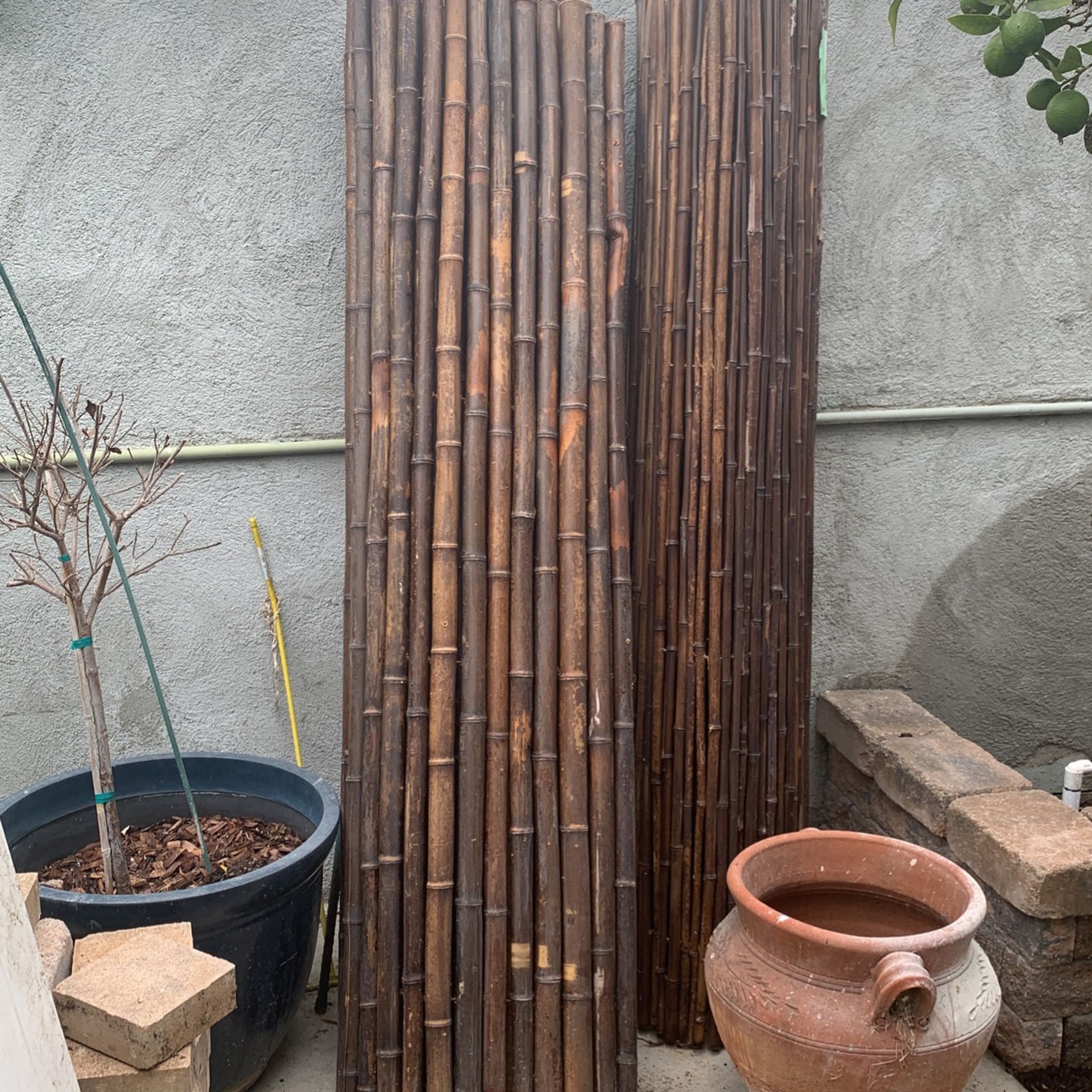 Fence Bamboo 2 panels 6x8
