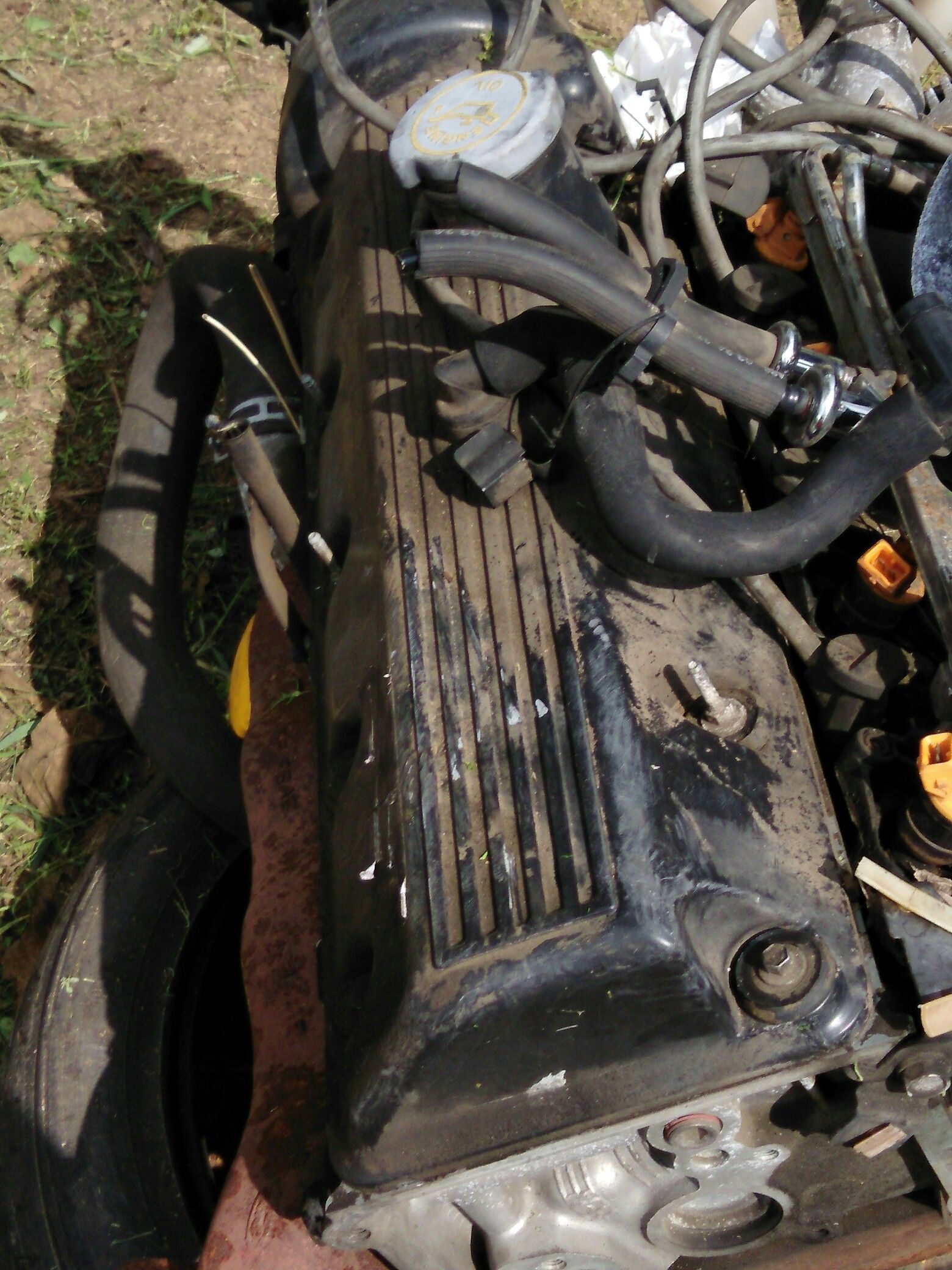 Motor