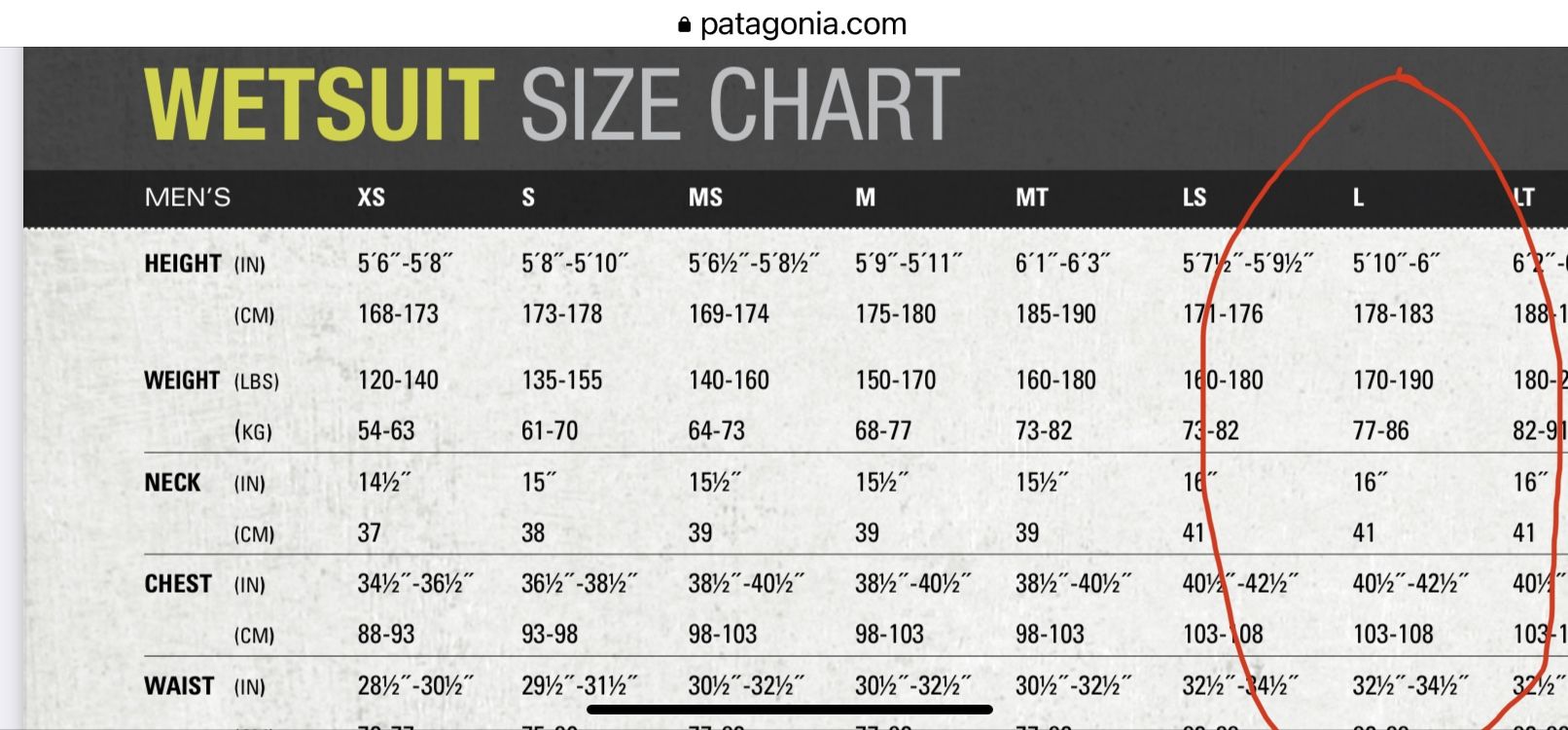 Patagonia Wetsuit, Mens Large, Short Sleeve Full Suit, R2