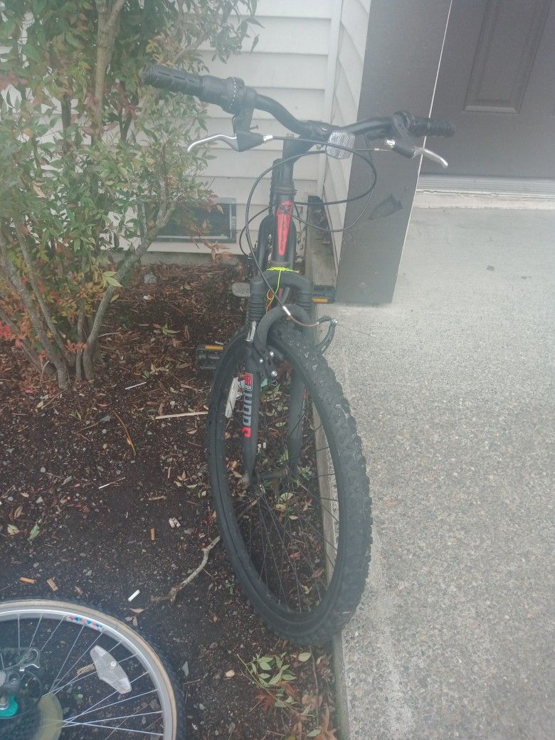2bikes Again