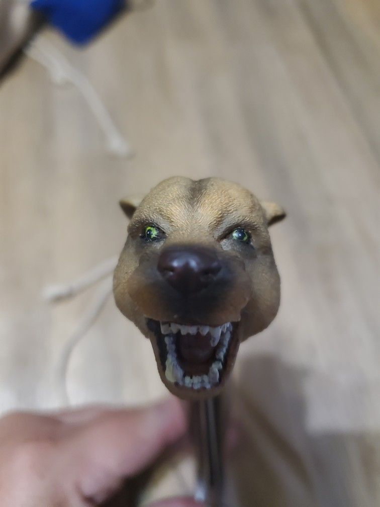 Cougar Head Novelty