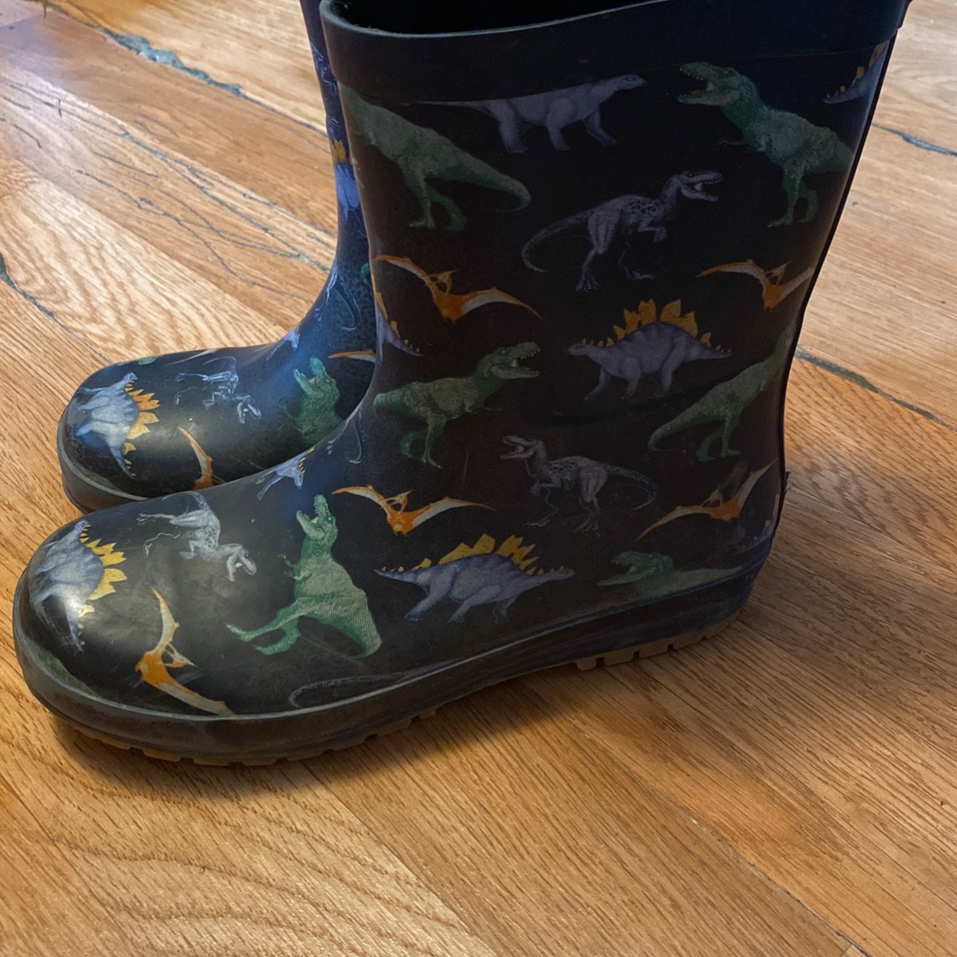 Kids Dinosaur Rain Boots 