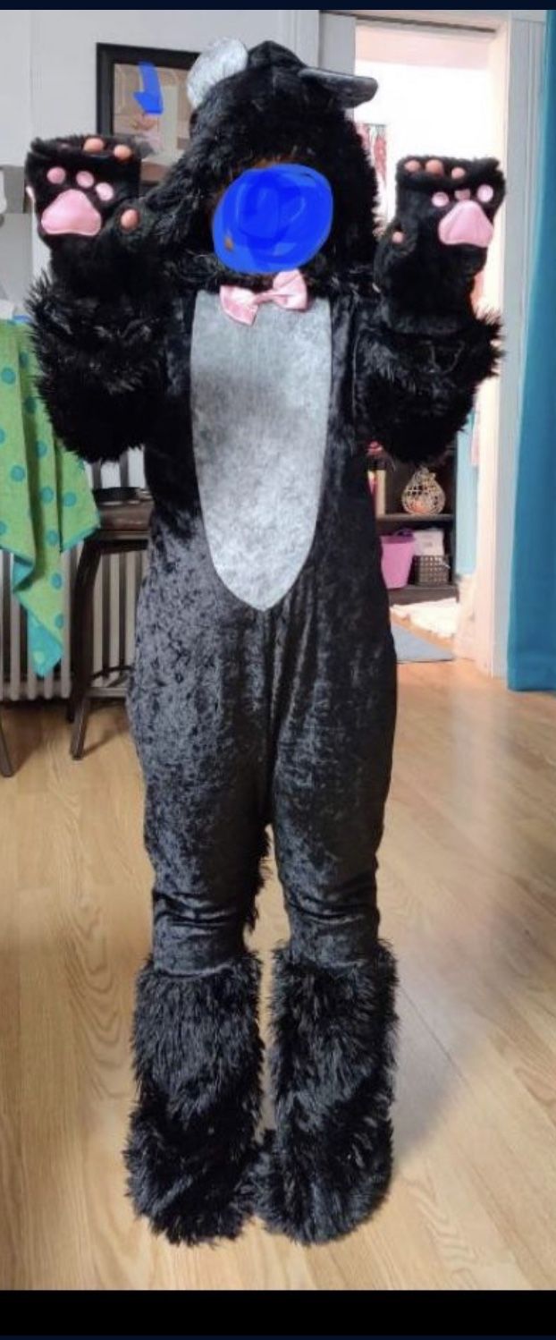 Cat Costume 4-6 Child