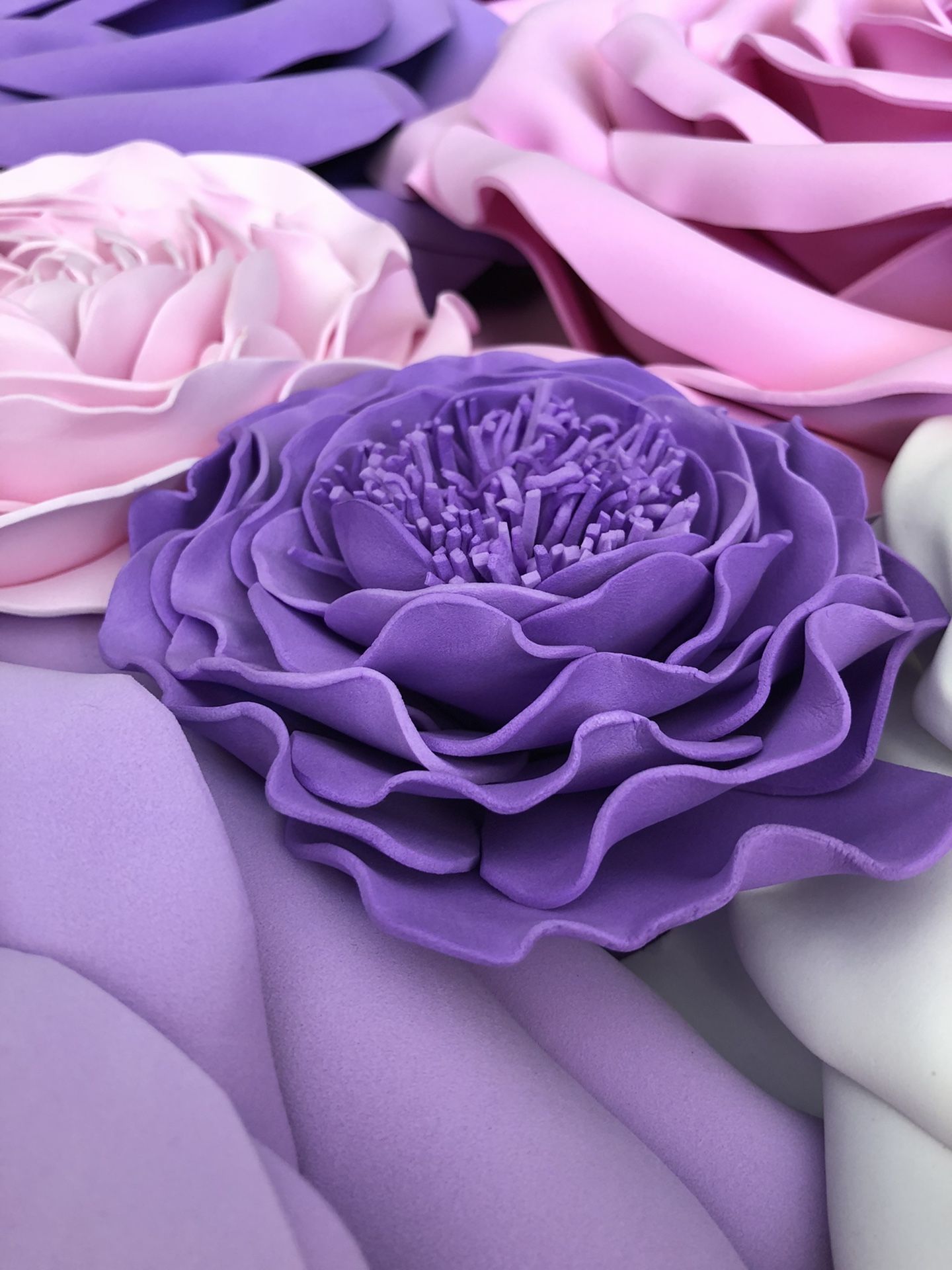 Giant Roses for Wall decor/Backdrop
