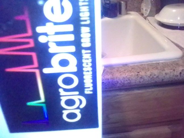 Grow Lights GRO1&Agro BriteT5214 Watts Paid $350 For Both