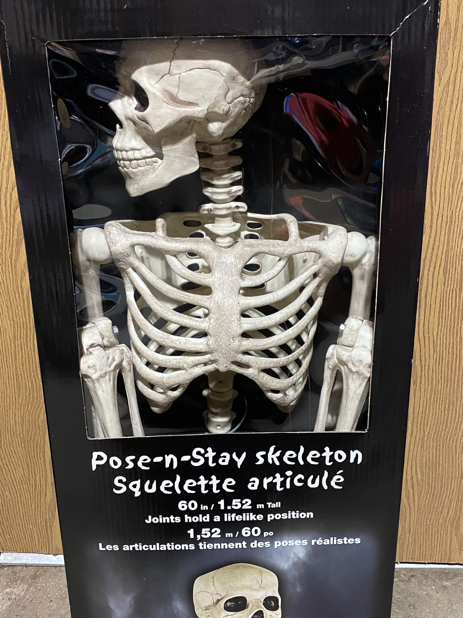 Halloween Skeletons