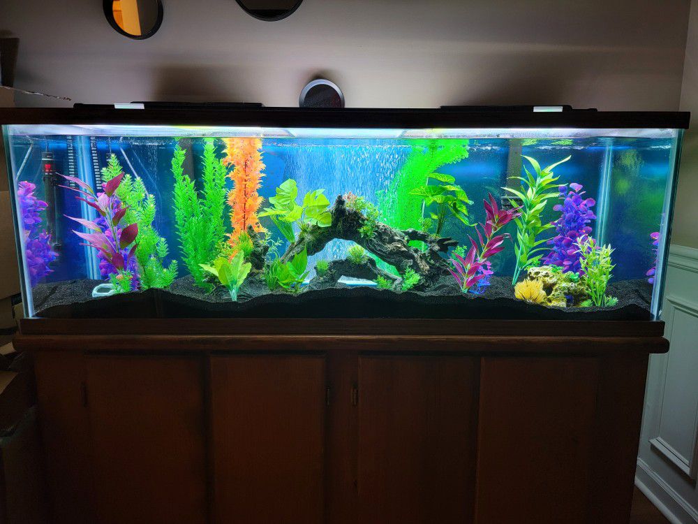 100 Gallon Fish Aquarium 