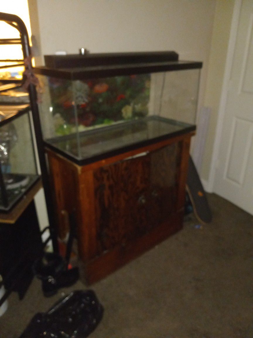 Fish Tanks And Accessories 