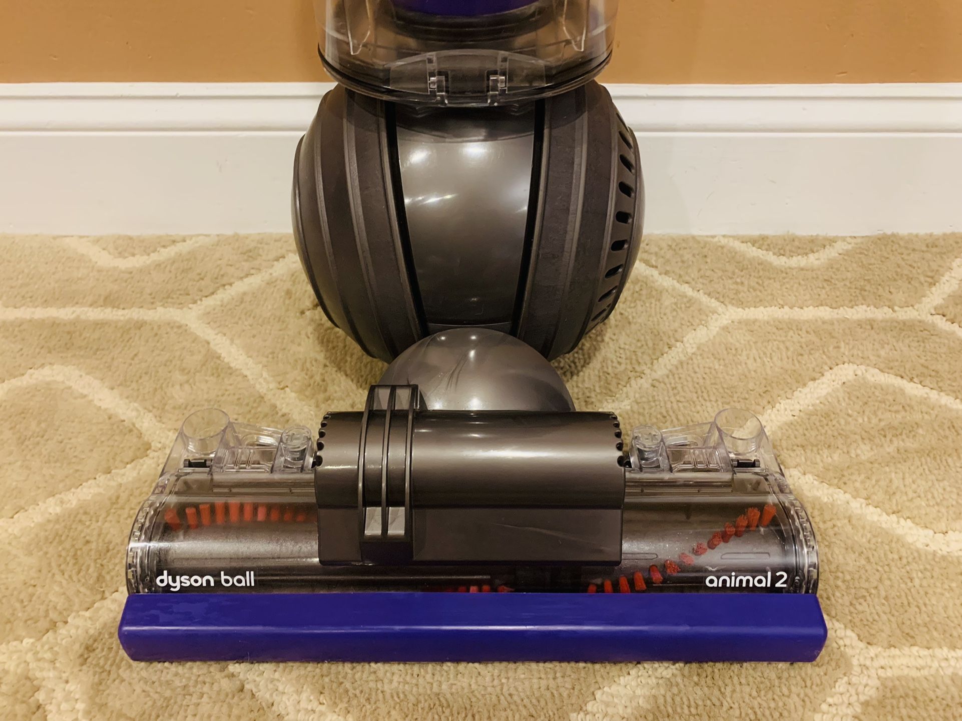 Dyson Animal 2 vacuum cleaner