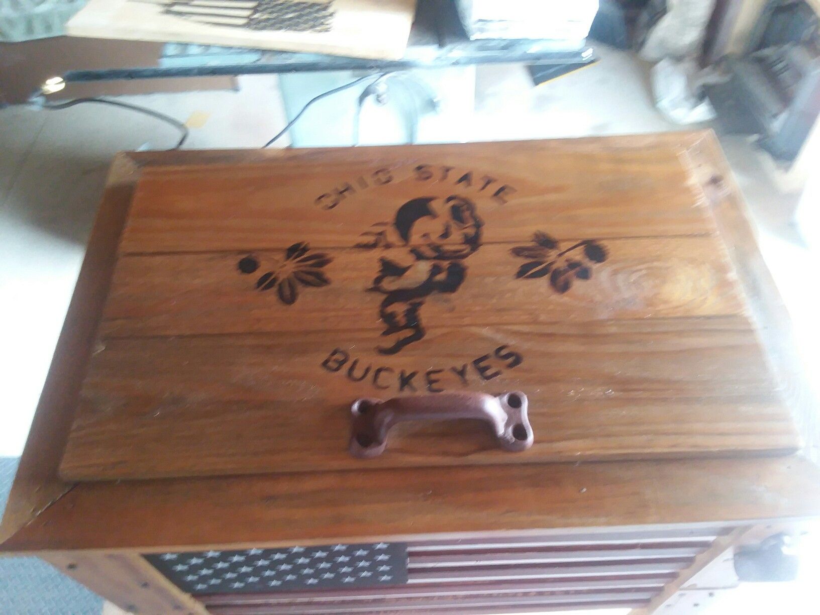 Ohio state cooler chest