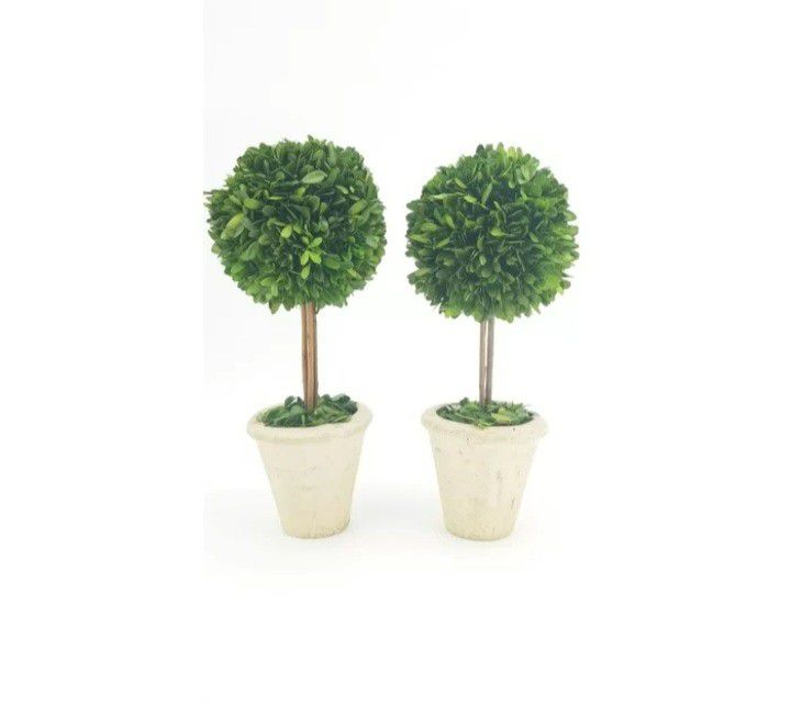 2 Pcs Artificial Boxwood Topiary In Planter 