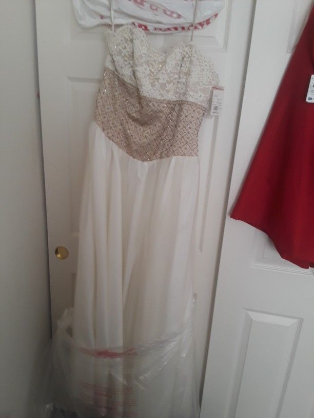 Gorgeous Dress From David's Bridal Shop