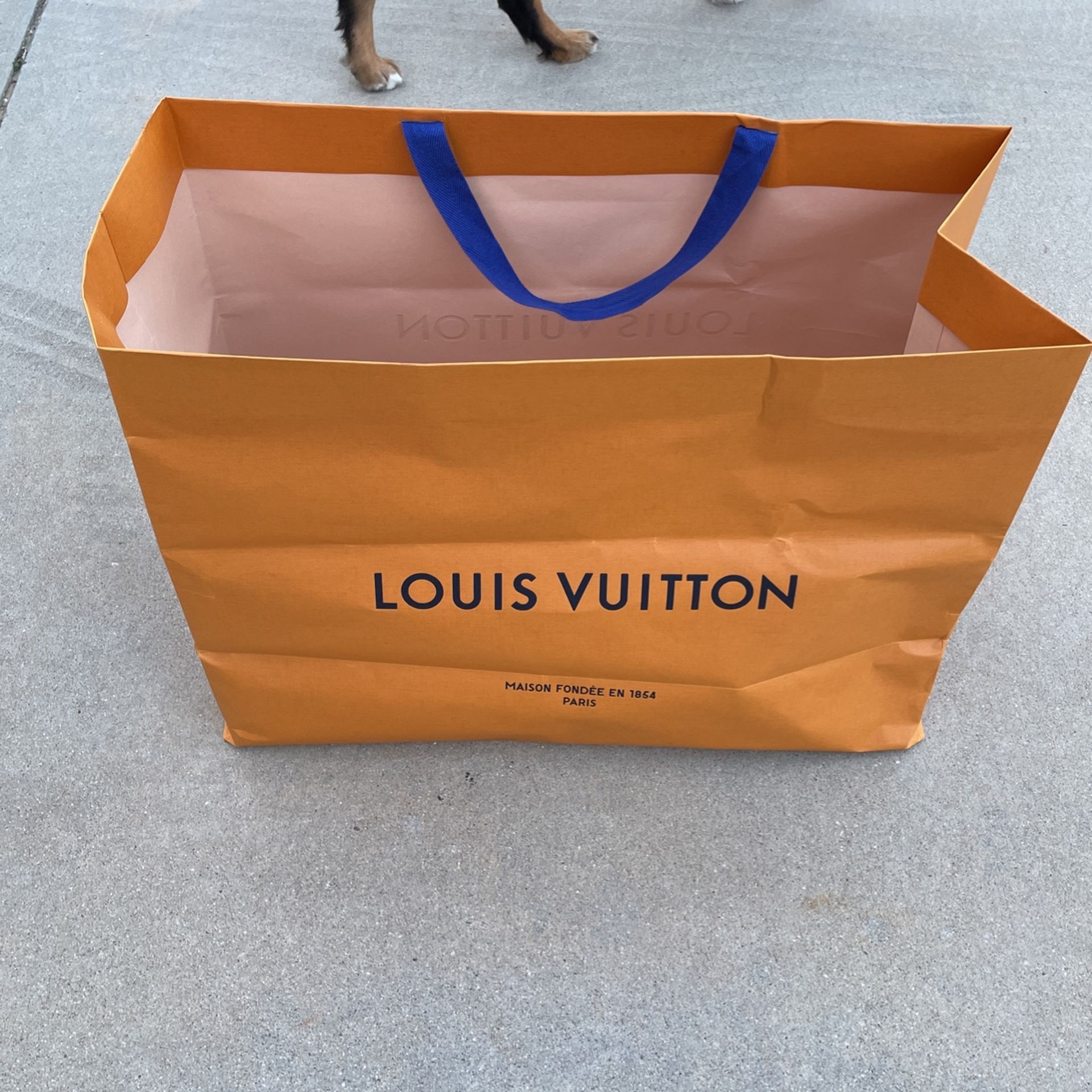 Louis Vuitton Shopping Bag