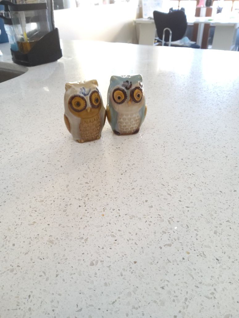 Owl Salt Shakers - PIER 1 Imports (Never used, just as decor)