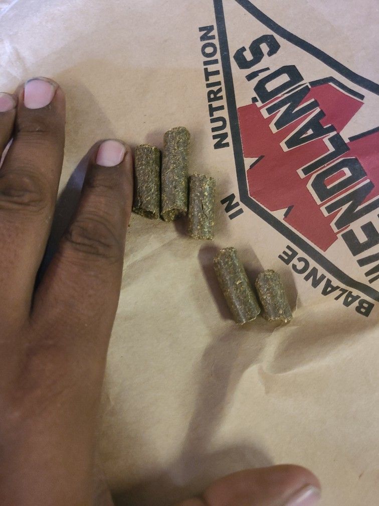 Alfalfa Pellets