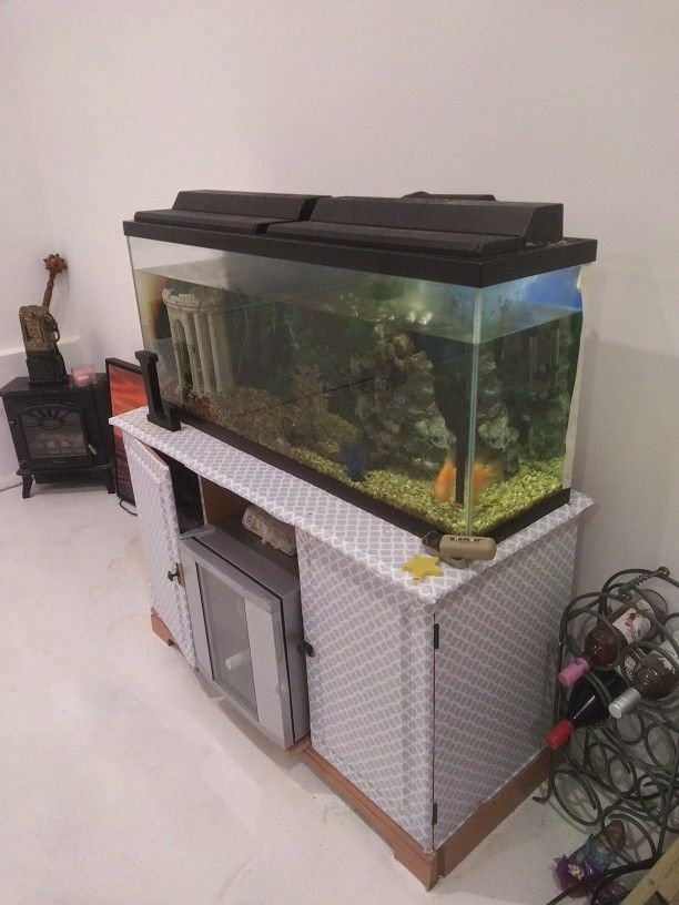 55gal Fish Tank