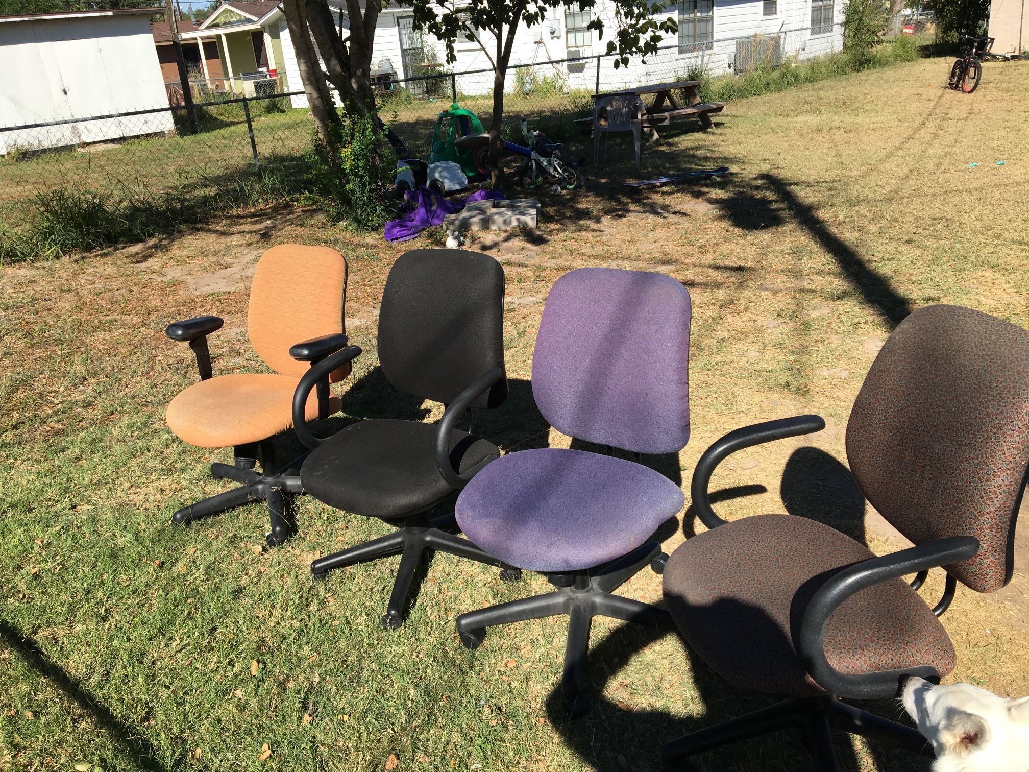Office Chairs