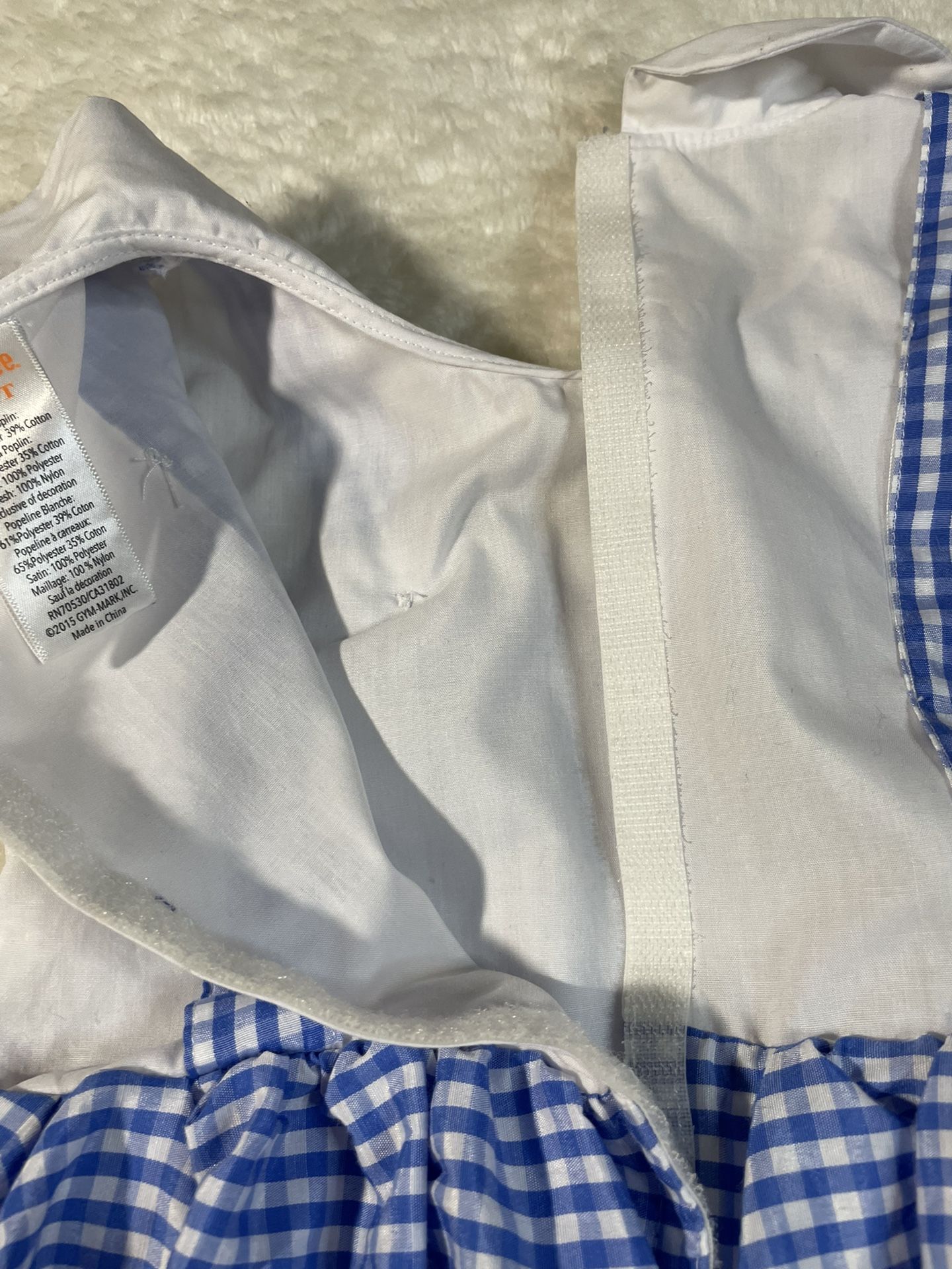 Gymboree 3T-4T Dorothy Costume