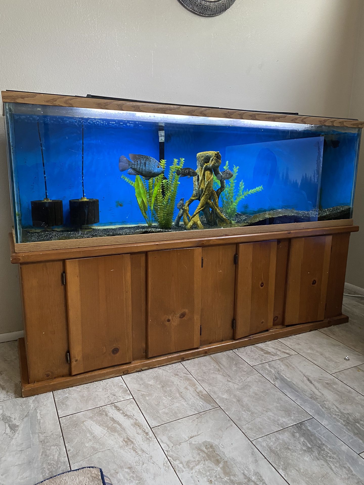125 Gallon Fish Tank Aquarium 