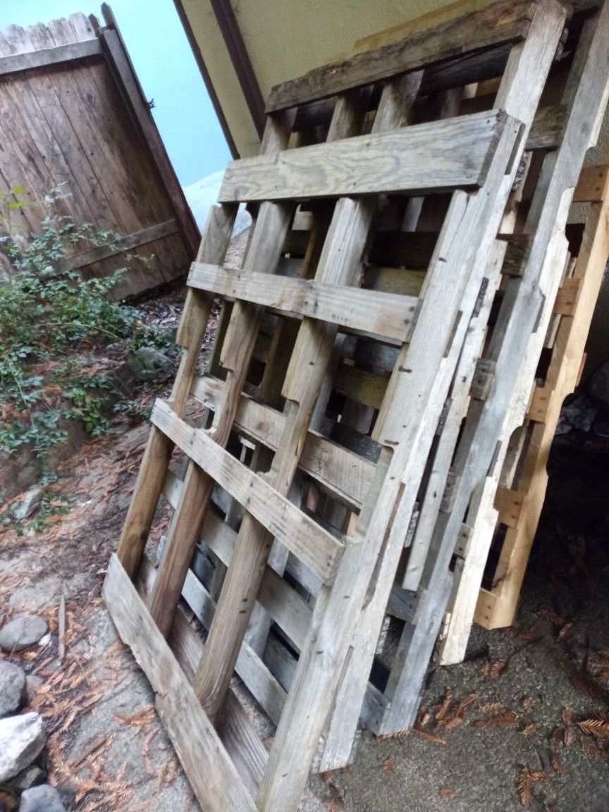 Bonfire Wood