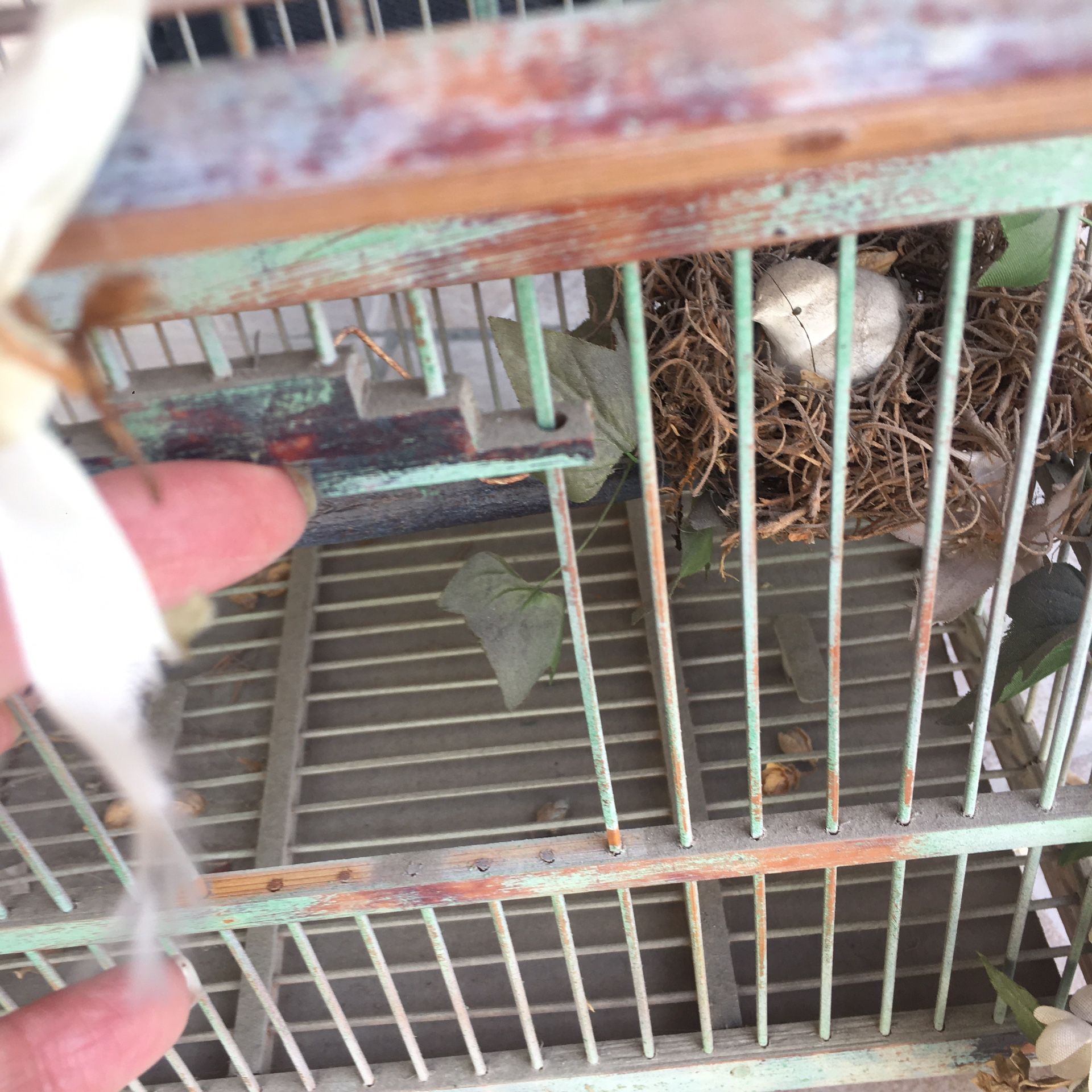 Beautiful Decorative Birds Cage
