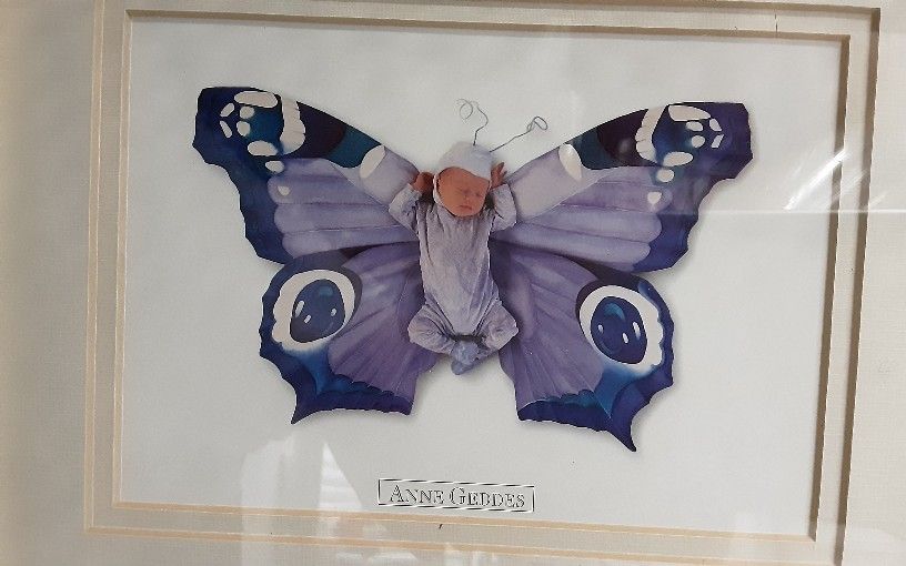 Anne Geddes Art With Beautiful Frame