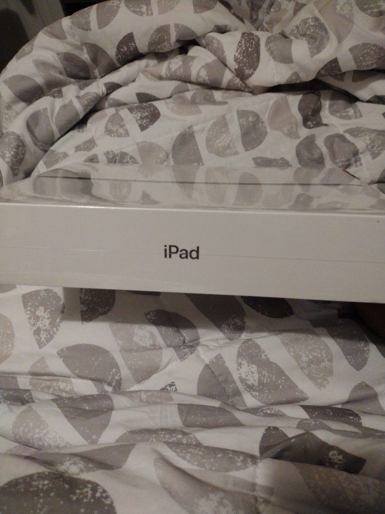 iPad