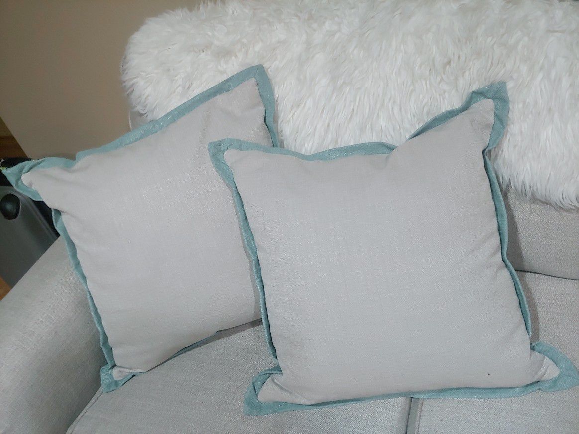 Couch Pillows (2)