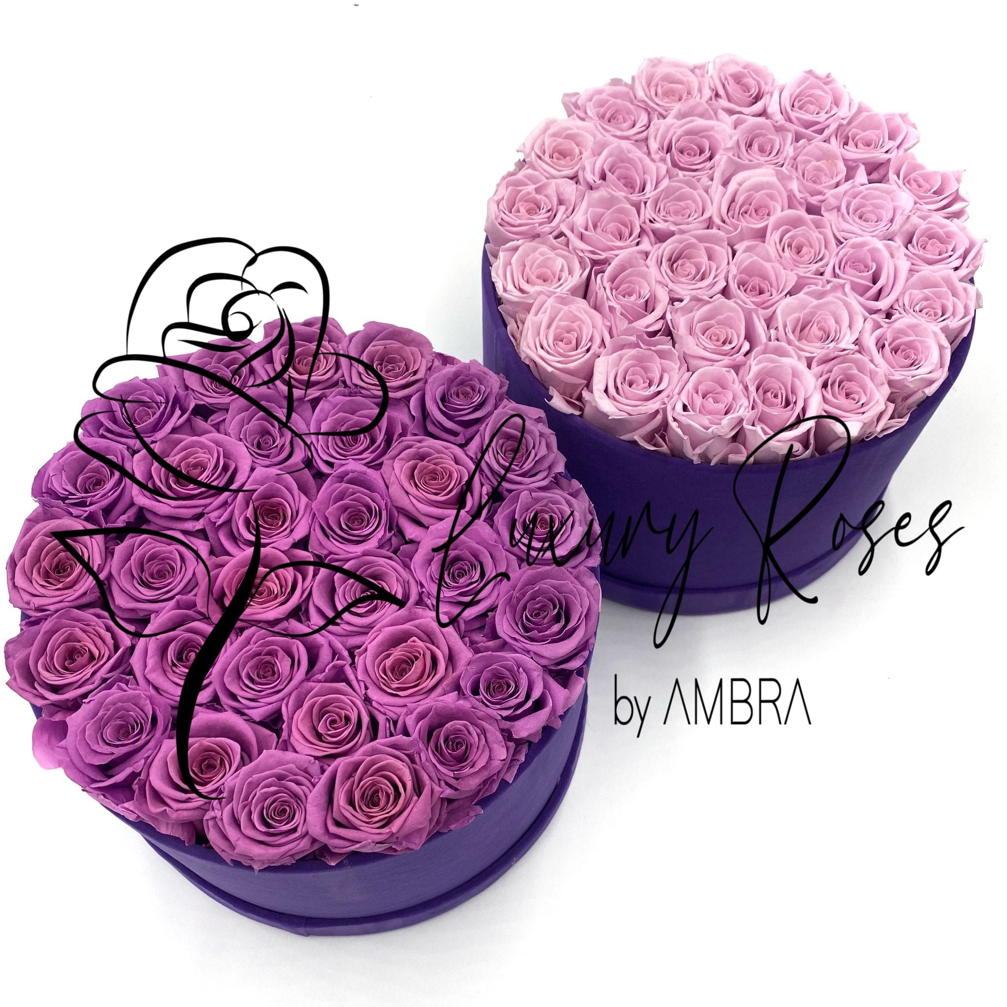 Eternal velvet box roses real preserved roses purple flowers immortal roses anniversary birthday immortal lasting Velvet Box Present