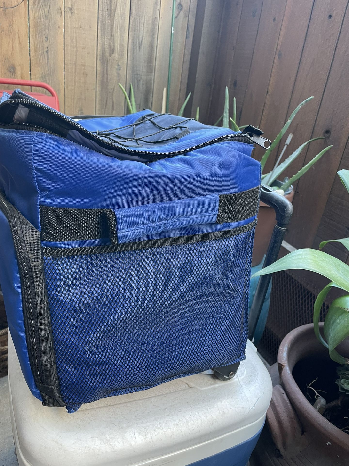 Foldable Rolling Cooler