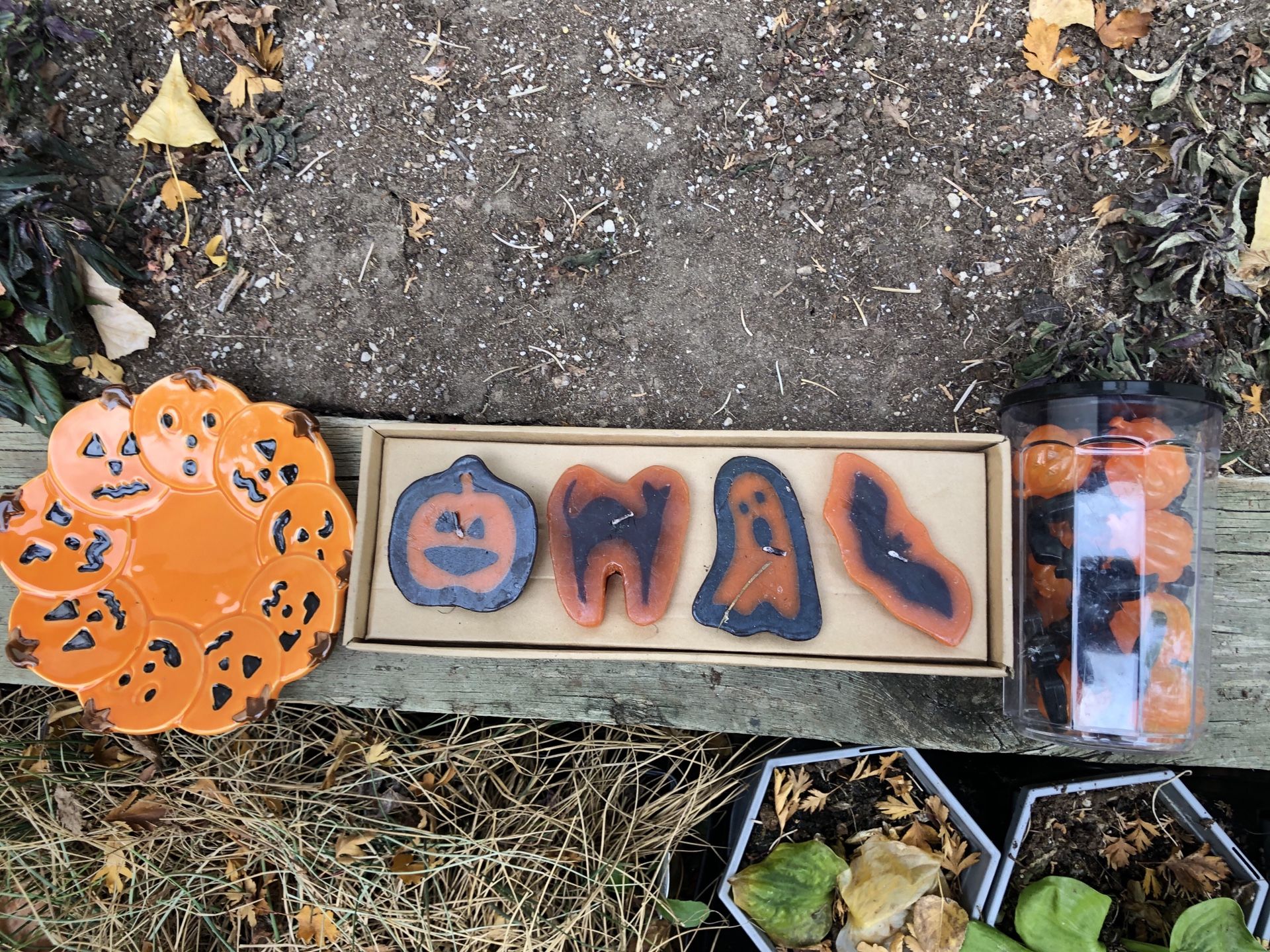 Halloween plate, candles and ice cube package