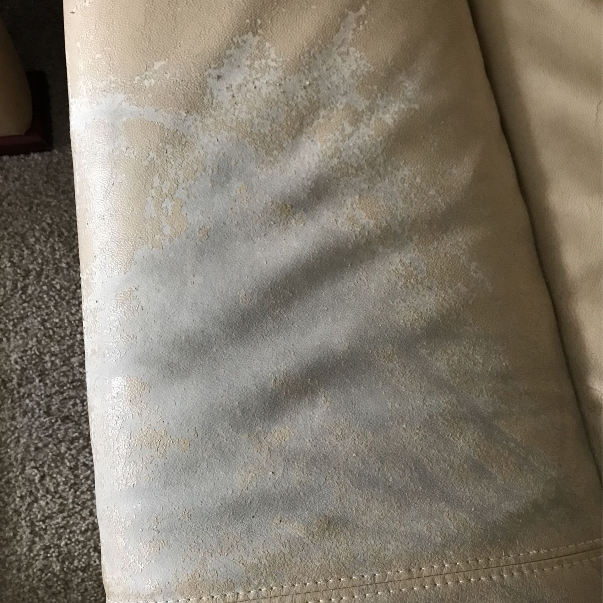 Mustard Color Couch And Love