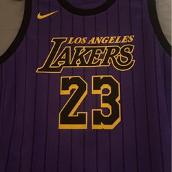 Lebrun Lakers Jersey  Thumbnail