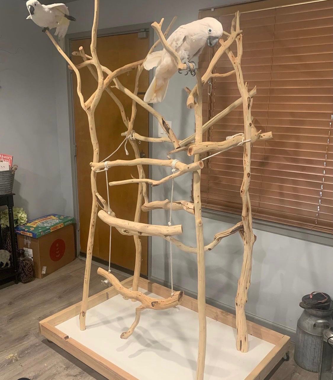 Bird Stand | Parrot Tree | Wooden Art | Play Jungle | Organic Wood | Macaw | Cockatoo | Cockatiel | Big Stand | Small Stand | Perches For Pet Bird 