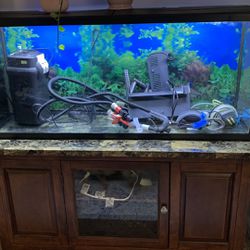 55 gallon fish tank Thumbnail