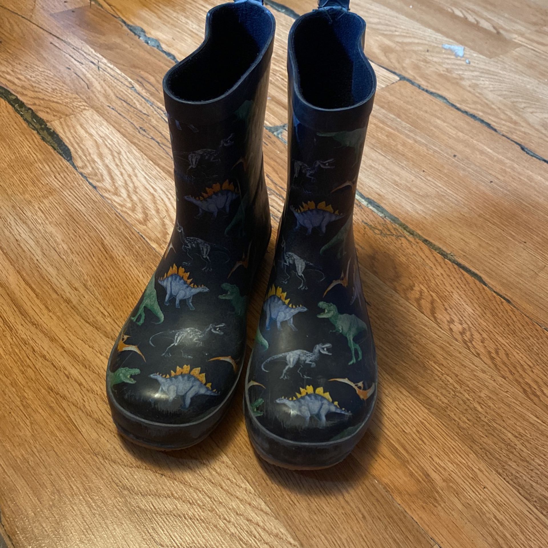 Kids Dinosaur Rain Boots 