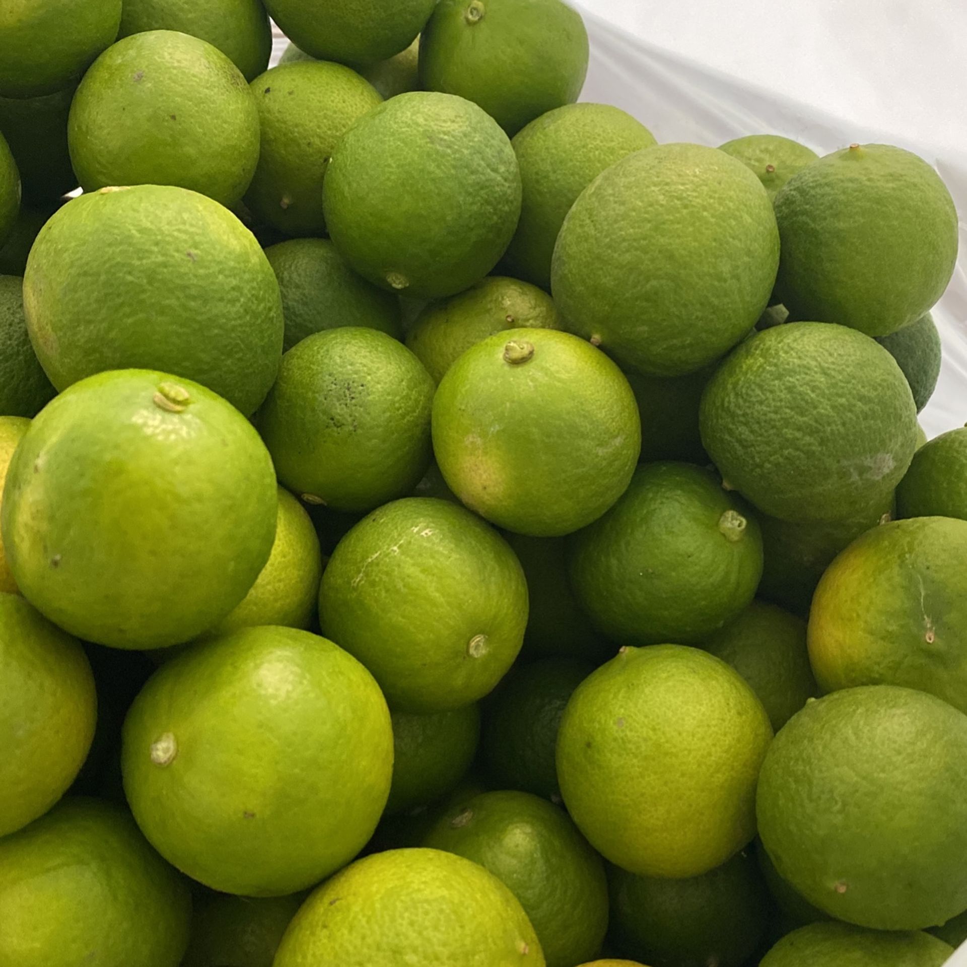 Lime 10 For $1
