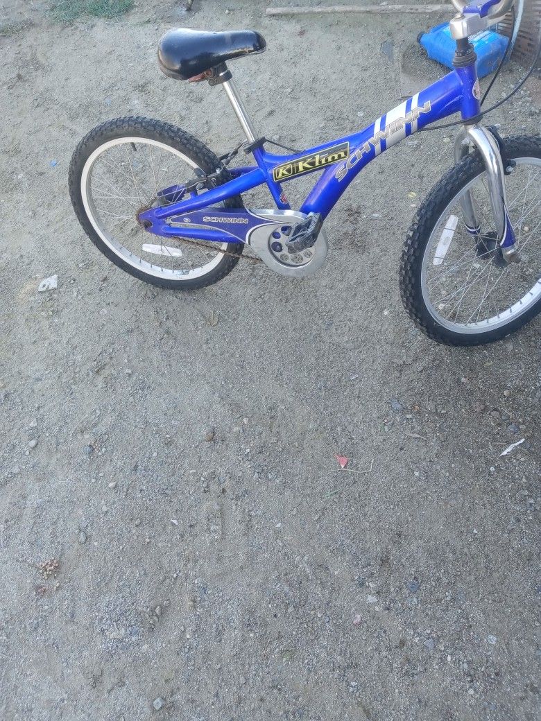 Se vende Baica