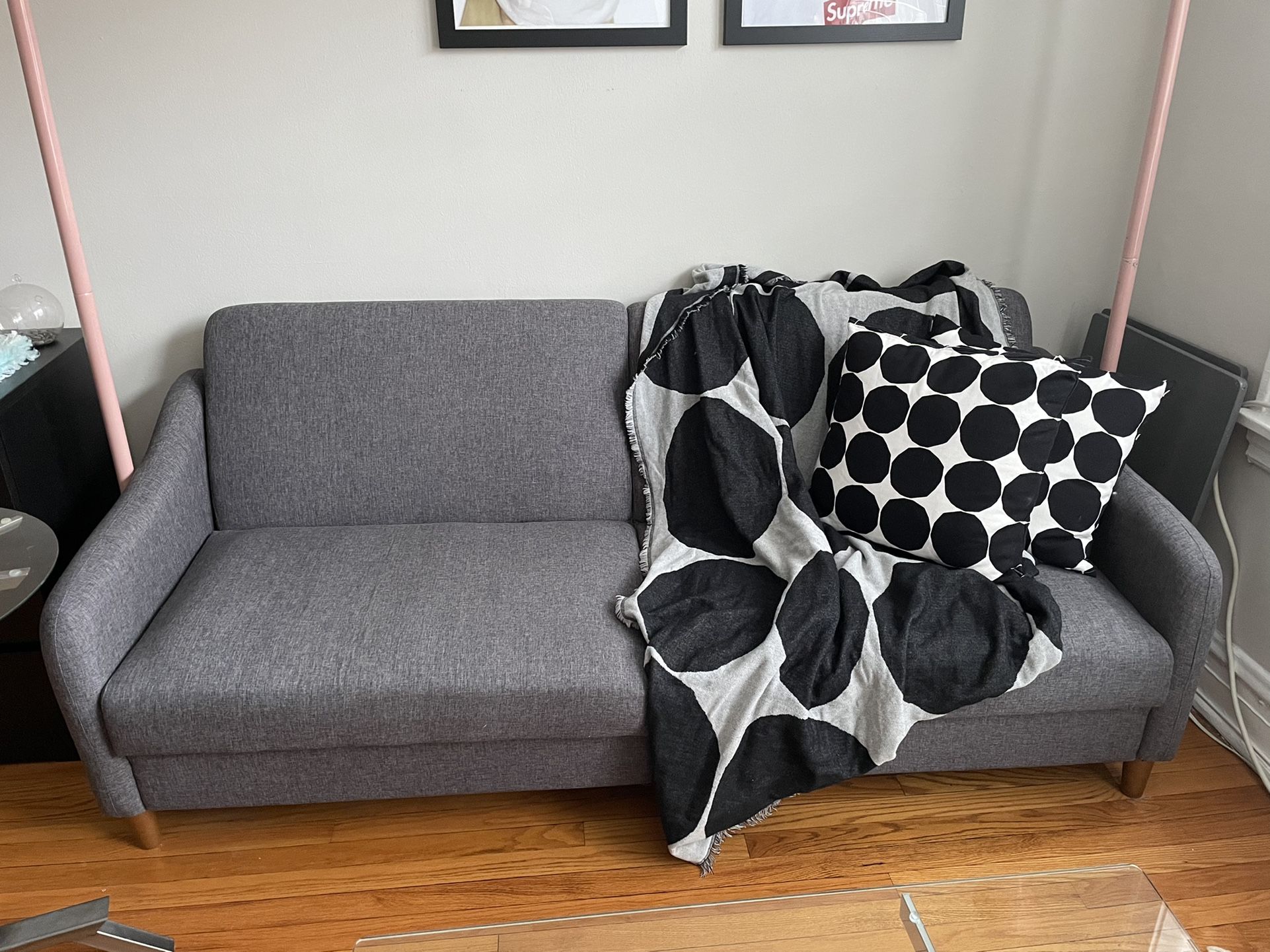 Modern Grey Sleeper Couch
